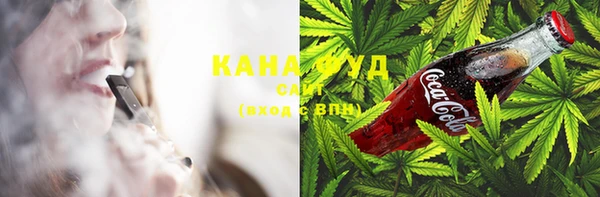 PSILOCYBIN Гусиноозёрск