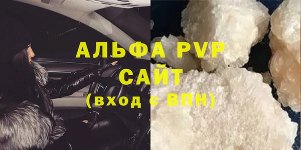 прущие грибы Гусь-Хрустальный