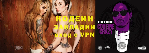 прущие грибы Гусь-Хрустальный