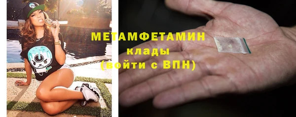 прущие грибы Гусь-Хрустальный