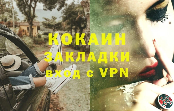 прущие грибы Гусь-Хрустальный