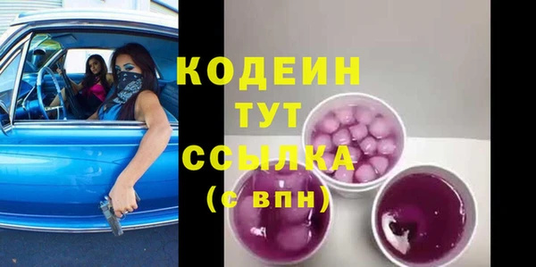 прущие грибы Гусь-Хрустальный