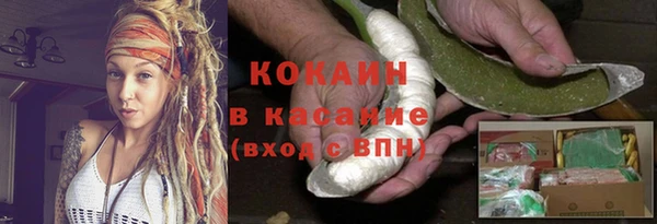 PSILOCYBIN Гусиноозёрск