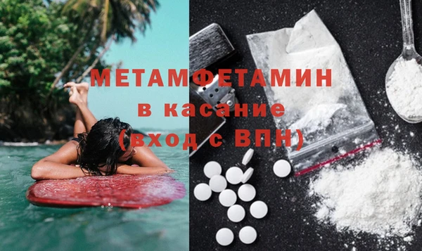 прущие грибы Гусь-Хрустальный