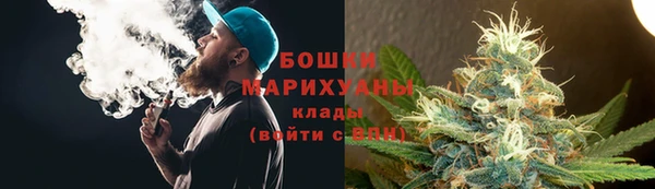 PSILOCYBIN Гусиноозёрск
