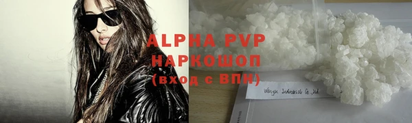 PSILOCYBIN Гусиноозёрск