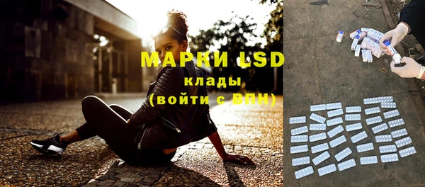 PSILOCYBIN Гусиноозёрск