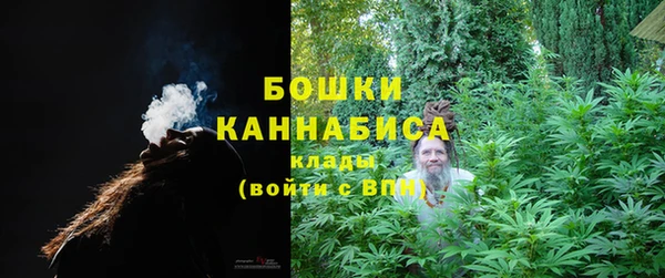 прущие грибы Гусь-Хрустальный