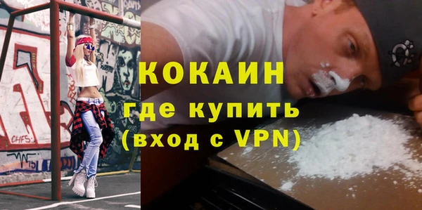 прущие грибы Гусь-Хрустальный
