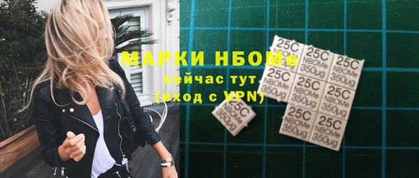 прущие грибы Гусь-Хрустальный