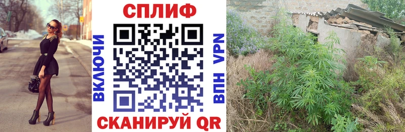Купить где  Киреевск  Бошки Шишки конопля 